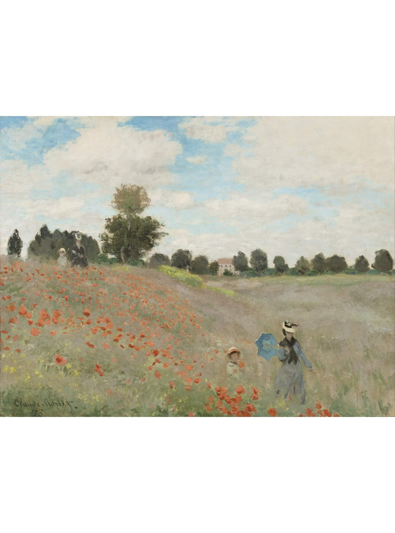 Mohnblumen