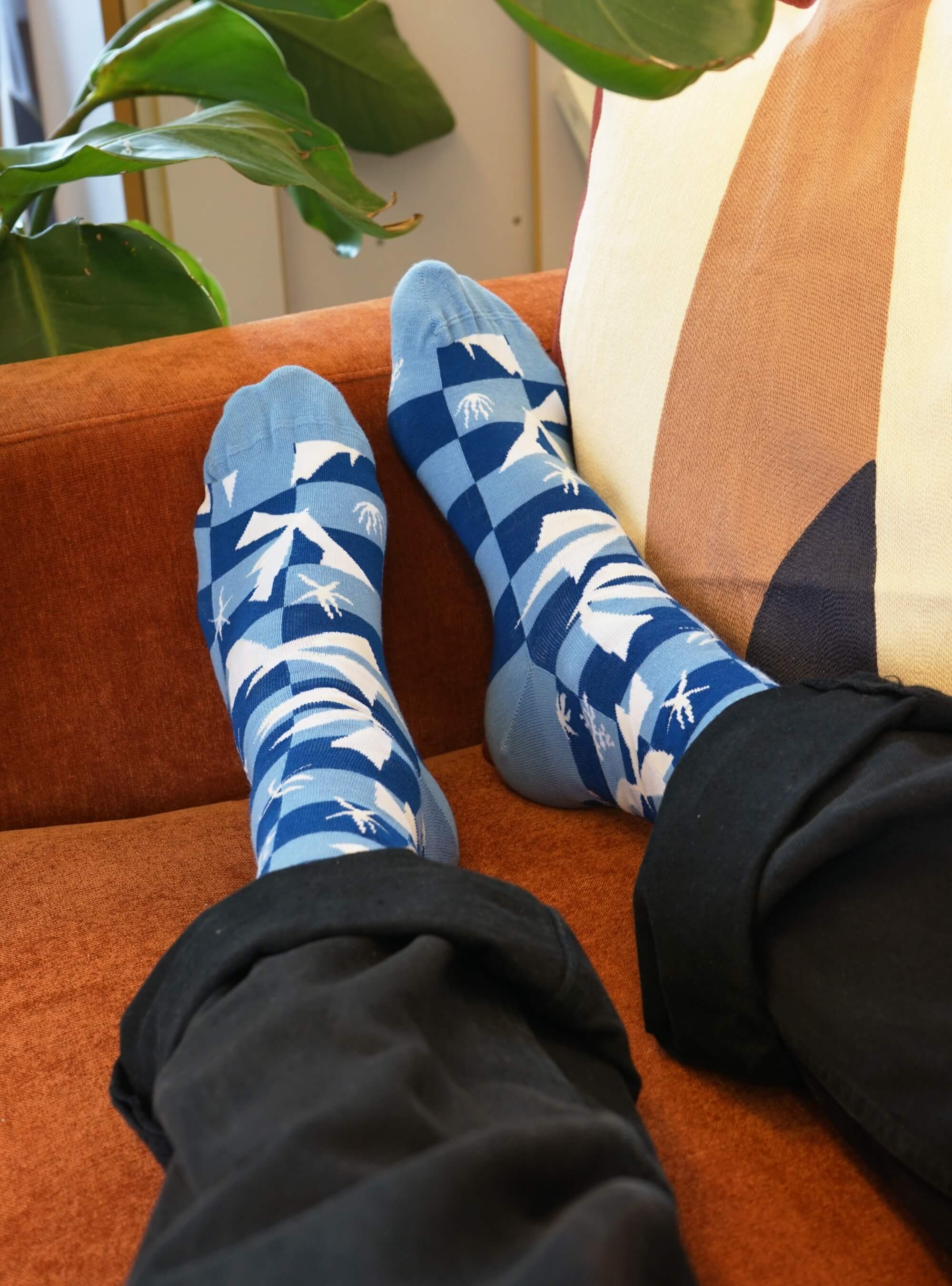 Henri Matisse 3-Pack