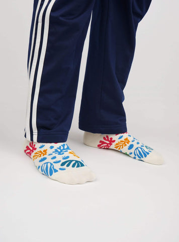 The Parakeet and the Mermaid