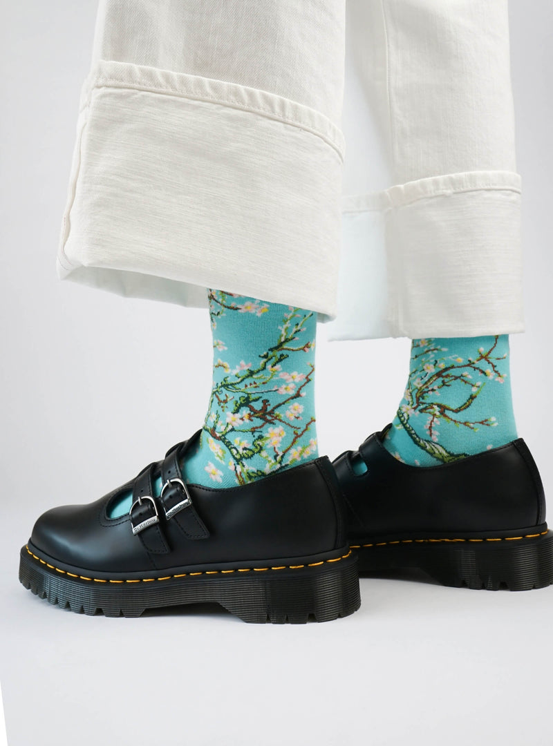 Amandier en fleurs
