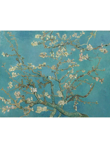 Almond blossom