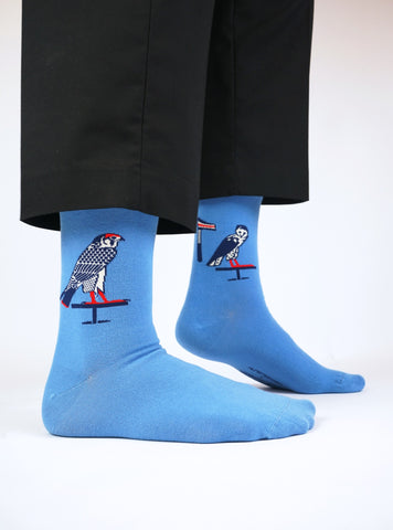 Egyptian Birds - Sarcophagus of Peftjauneith