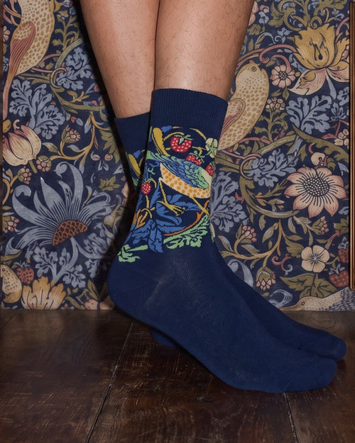 William Morris